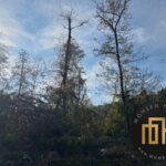 خرید زمین شهرک امیردشت