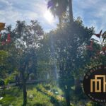  خرید ویلا شهرک امیردشت