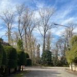 خرید زمین در امیردشت اکازیون