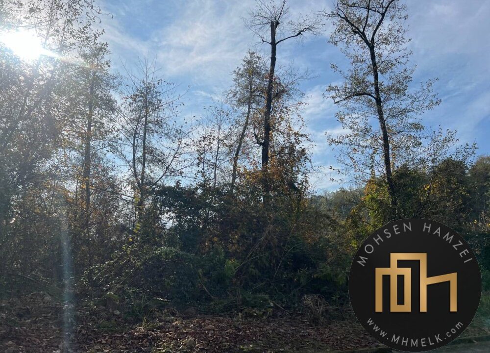 خرید زمین شهرک امیردشت